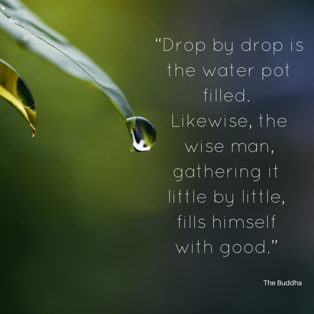 Drop of water falling from leaf and quote: "Drop by drop is the water pot filled." The Buddha